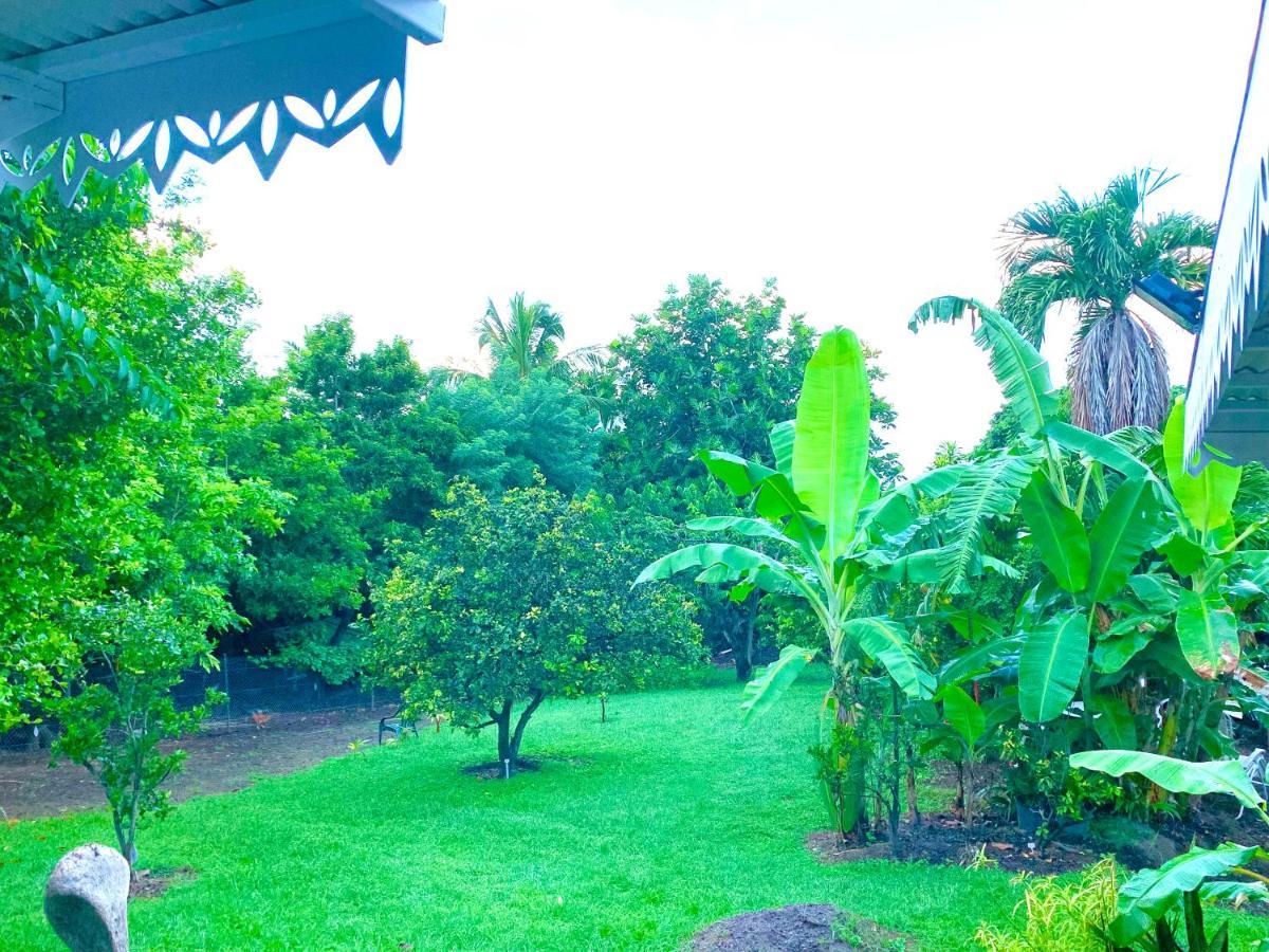Lodge Pamplemousse Avec Piscine Privative , Dans Parc Calme A 500 M Plage Le Carbet Exterior foto